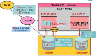 Oracle数据库服务器IO性能瓶颈分析与实战解决方案